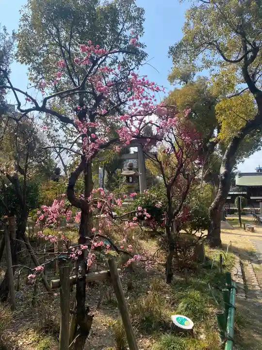 難波大社 生國魂神社の自然