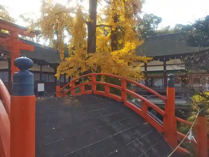 賀茂御祖神社(下鴨神社)(京都府)