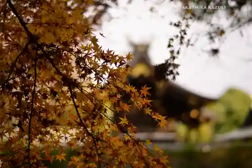 鷲宮神社(埼玉県)