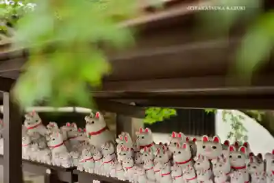 豪徳寺(東京都)