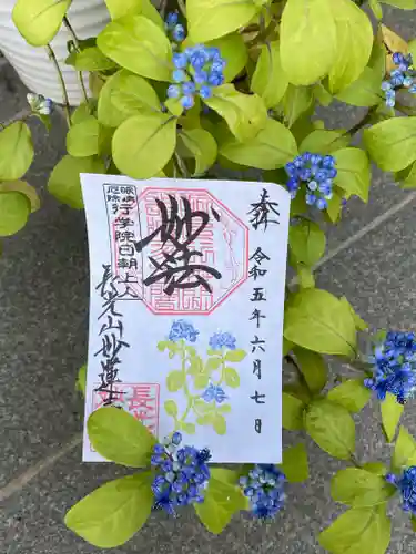 妙蓮寺(神奈川県)