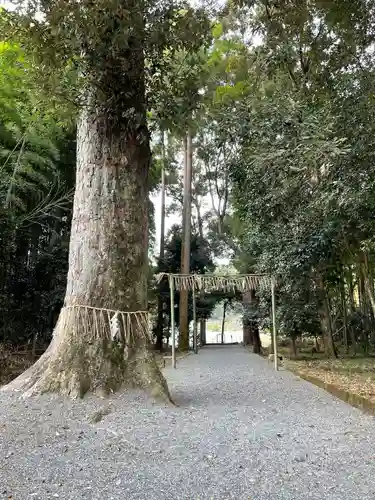 大己貴神社の庭園