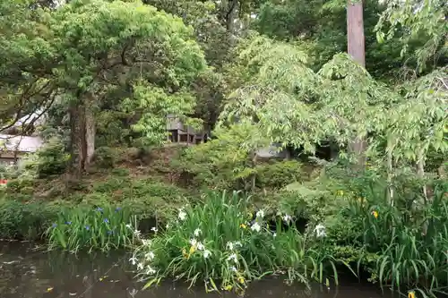 松尾寺(京都府)