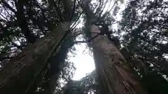 加蘇山神社の自然