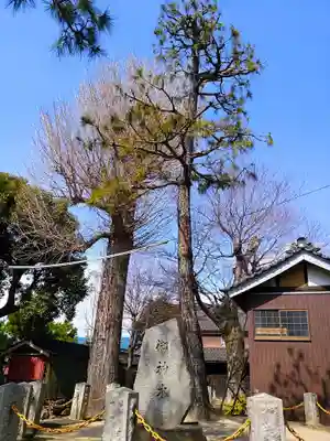 稲荷社（大浜稲荷社）の自然