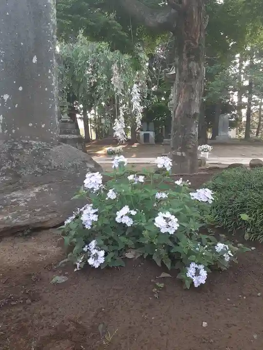 伏木香取神社の自然