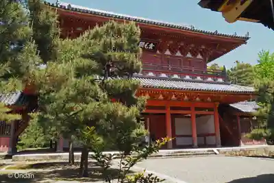 大徳寺(京都府)