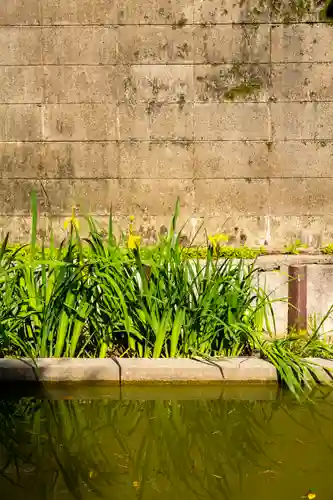 許麻神社(大阪府)