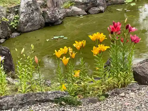 勝利寺(和歌山県)