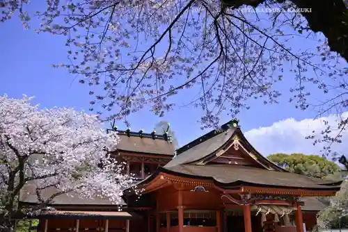 富士山本宮浅間大社(静岡県)