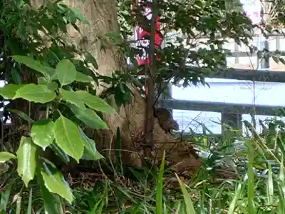 岐阜護國神社(岐阜県)