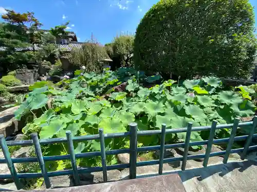 善生寺(東京都)