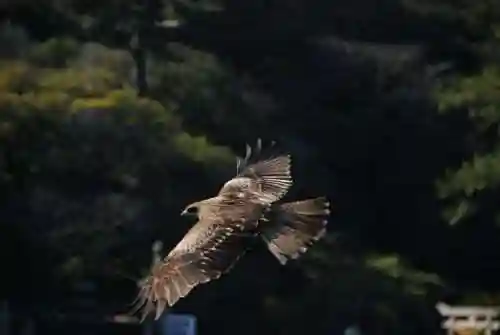 恵比須神社(山口県)