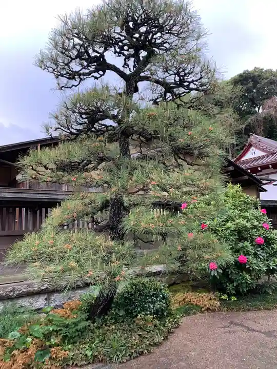 金蔵寺(神奈川県)
