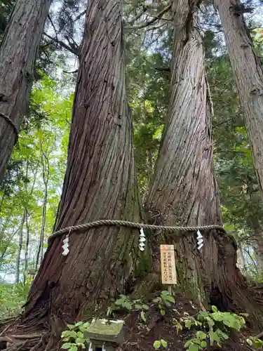 戸隠神社火之御子社(長野県)