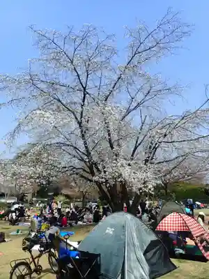 天照皇大神(神奈川県)