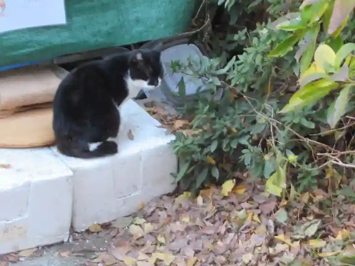 若王子稲荷神社(埼玉県)