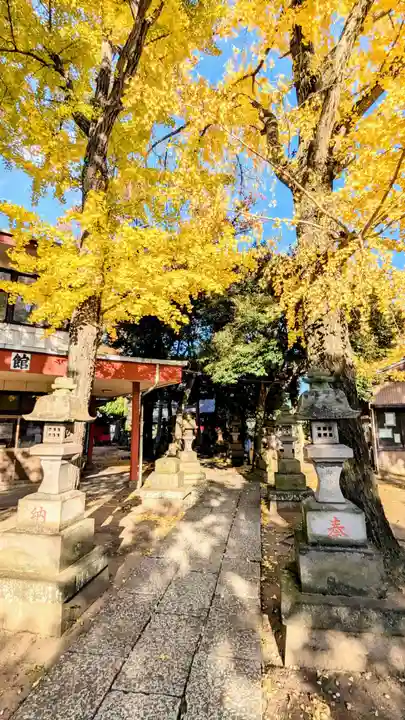 今井神社の自然