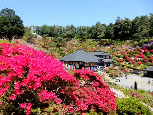 塩船観音寺の景色