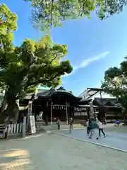 石切劔箭神社(大阪府)