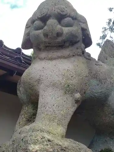 多太神社の狛犬