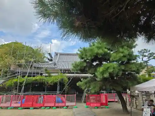 葛井寺(大阪府)