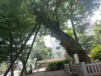 青渭神社(東京都)