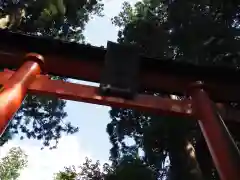 出羽神社(出羽三山神社)～三神合祭殿～の鳥居