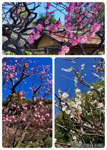 池上本門寺(東京都)