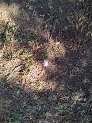 八雲神社（手代木）(宮城県)