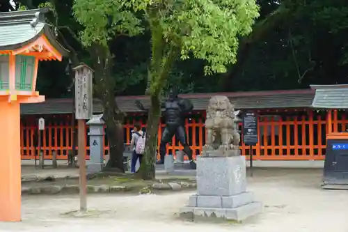 住吉神社の狛犬