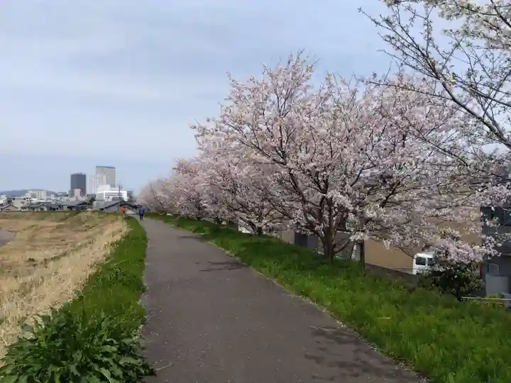 杉杜白髭神社(福井県)