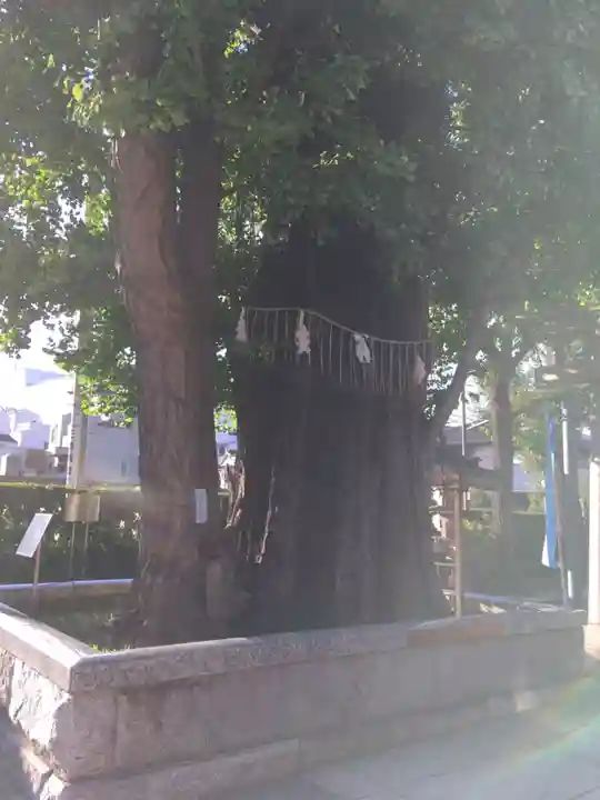 飛木稲荷神社(東京都)