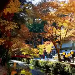 小國神社(静岡県)