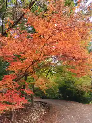 萬寿寺（お不動さん）の自然