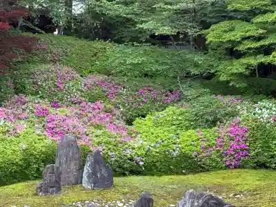 光明院(光明禅院)(京都府)