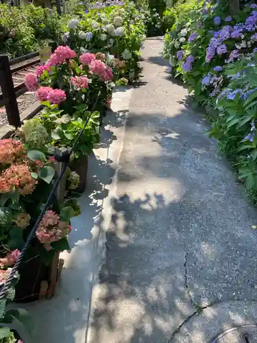 御霊神社の自然