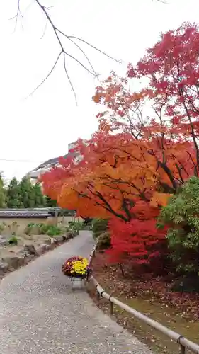 筥崎宮の庭園