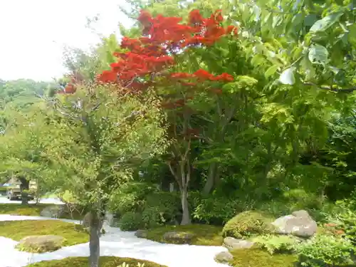 浄妙寺の庭園