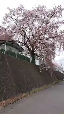 赤城神社の自然