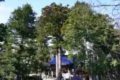 高司神社〜むすびの神の鎮まる社〜(福島県)