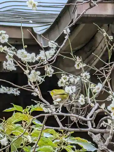 繁榮稲荷神社(東京都)