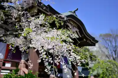 福傳寺(東京都)