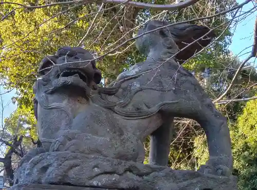 鷲宮神社の狛犬