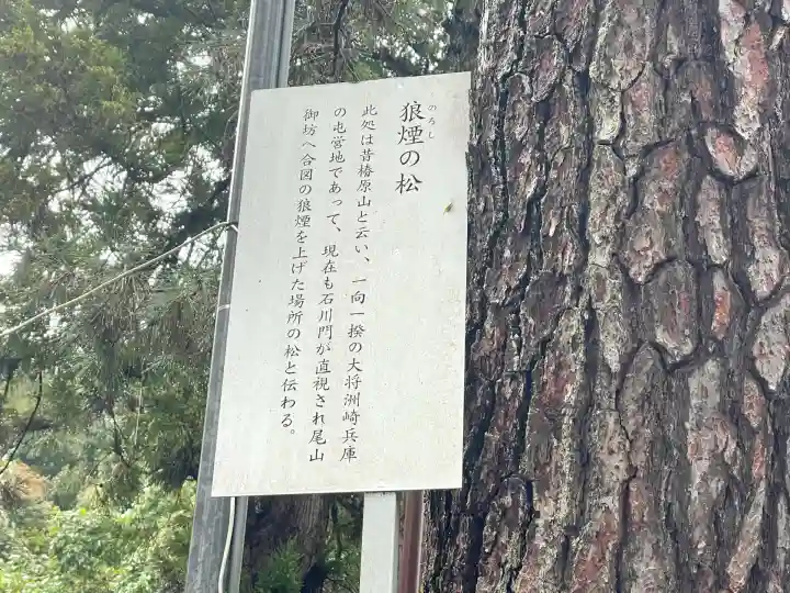 椿原天満宮(石川県)