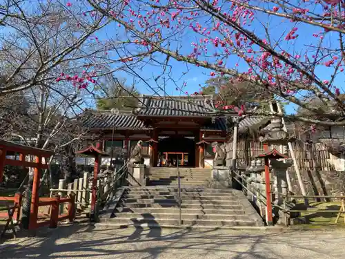 氷室神社(奈良県)