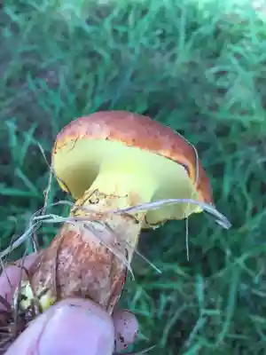 旭岱大山神社(北海道)
