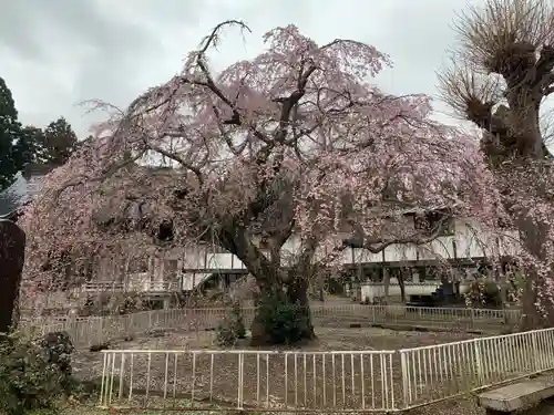 妙宣寺(千葉県)