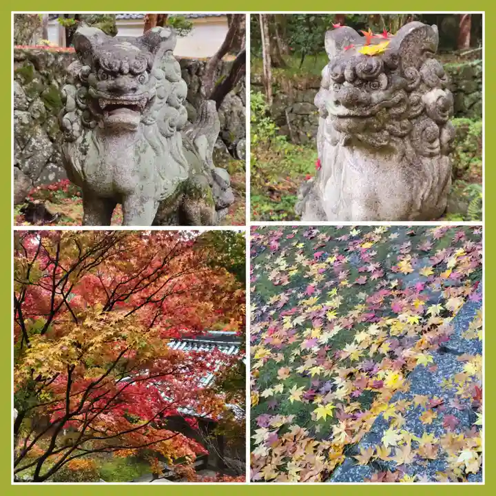 勝持寺(花の寺)(京都府)