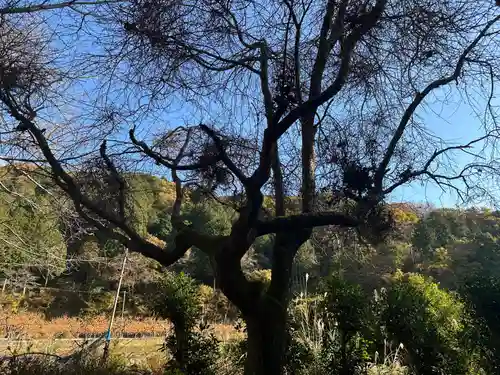 長窪東照宮(静岡県)
